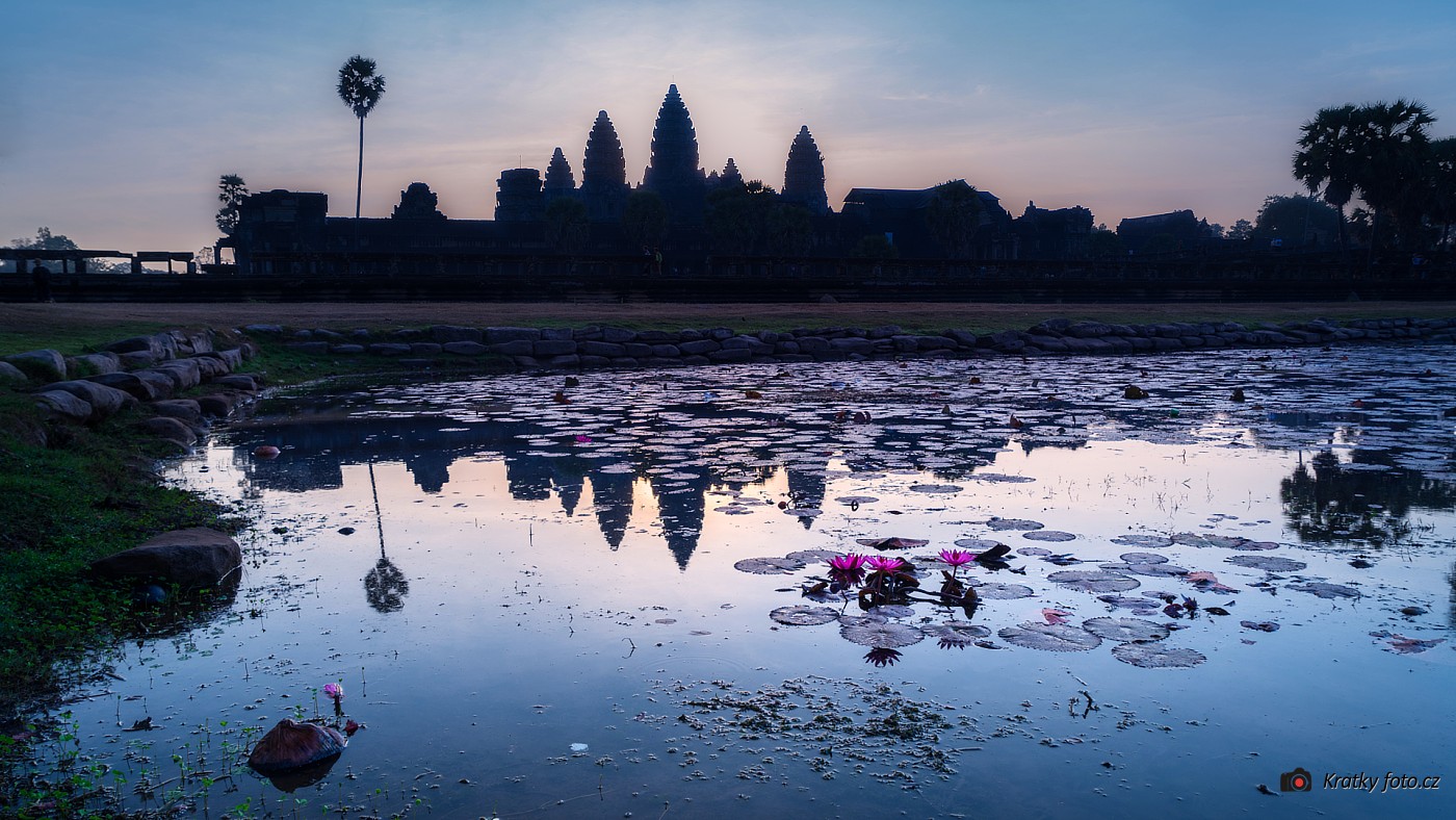 Angkor Wat s lekníny