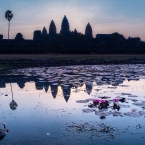 Angkor Wat s lekníny